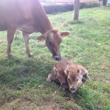 De La Huberderie * Quettehou