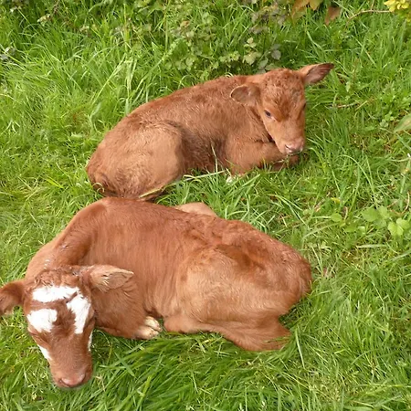 De La Huberderie Quettehou