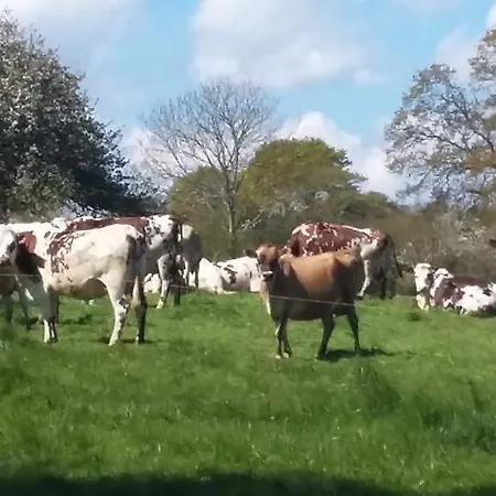 De La Huberderie Casa vacanze *