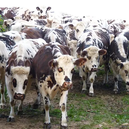 Дом отдыха De La Huberderie