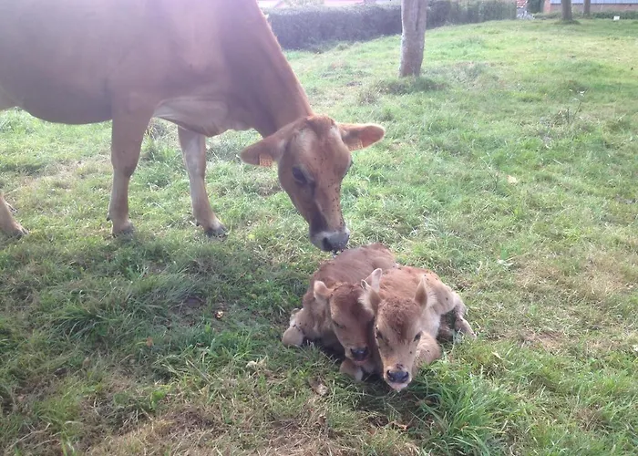 De La Huberderie * Quettehou