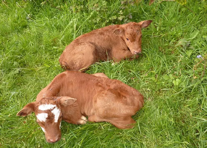 De La Huberderie Quettehou