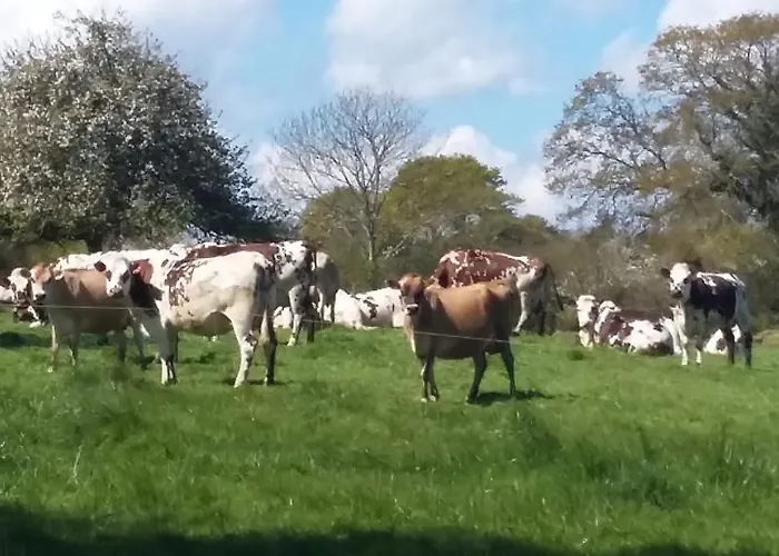 De La Huberderie Hébergement de vacances *
